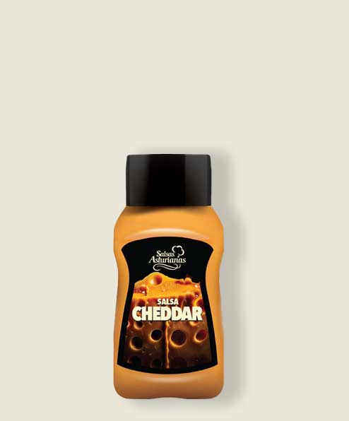 salsa-chedar-350