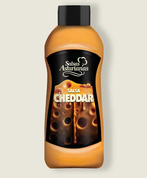 salsa-chedar-850